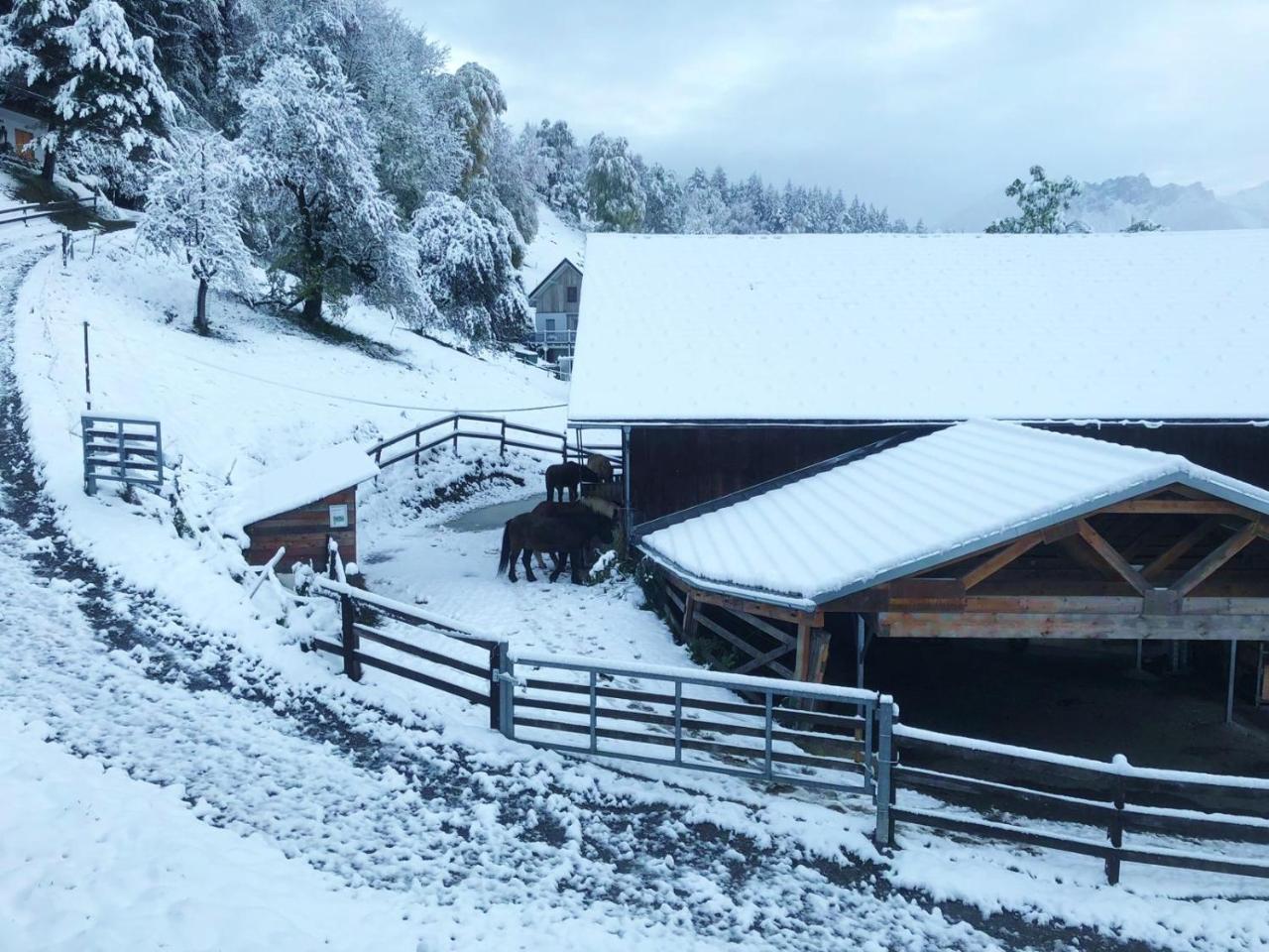 Hotel Garni Brigitte Buerserberg Exterior photo